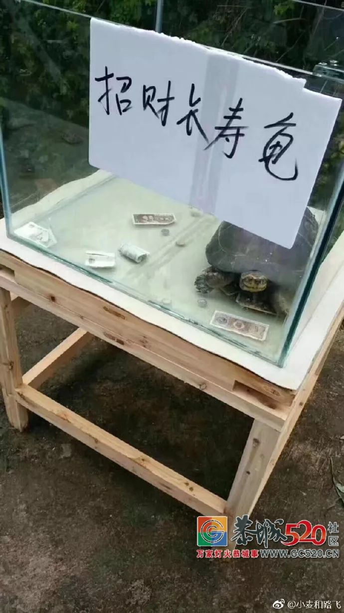 你在逗我吗？广西一“海洋世界馆”开张，现场只有十几个鱼缸917 / 作者:糕富帅 / 帖子ID:263236