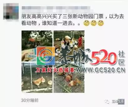 你在逗我吗？广西一“海洋世界馆”开张，现场只有十几个鱼缸565 / 作者:糕富帅 / 帖子ID:263236
