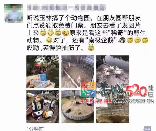 你在逗我吗？广西一“海洋世界馆”开张，现场只有十几个鱼缸593 / 作者:糕富帅 / 帖子ID:263236