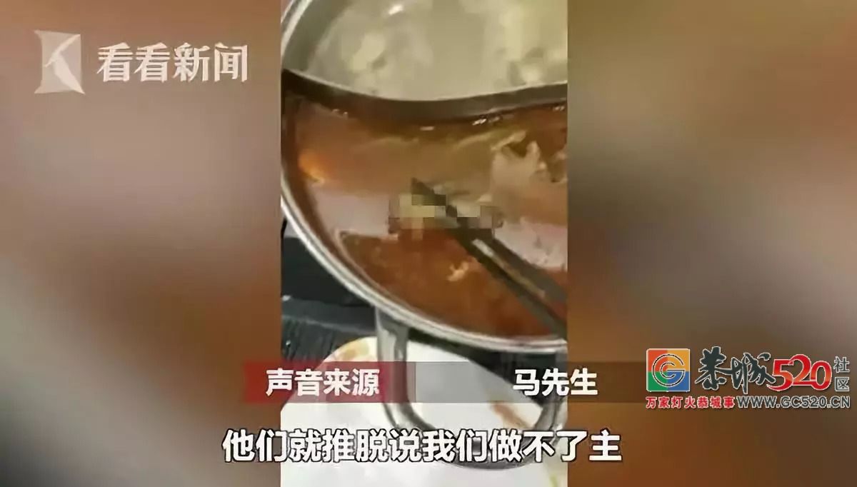呕！孕妇在火锅里吃出老鼠？呷哺呷哺深夜回应996 / 作者:给点阳光就灿烂 / 帖子ID:263237
