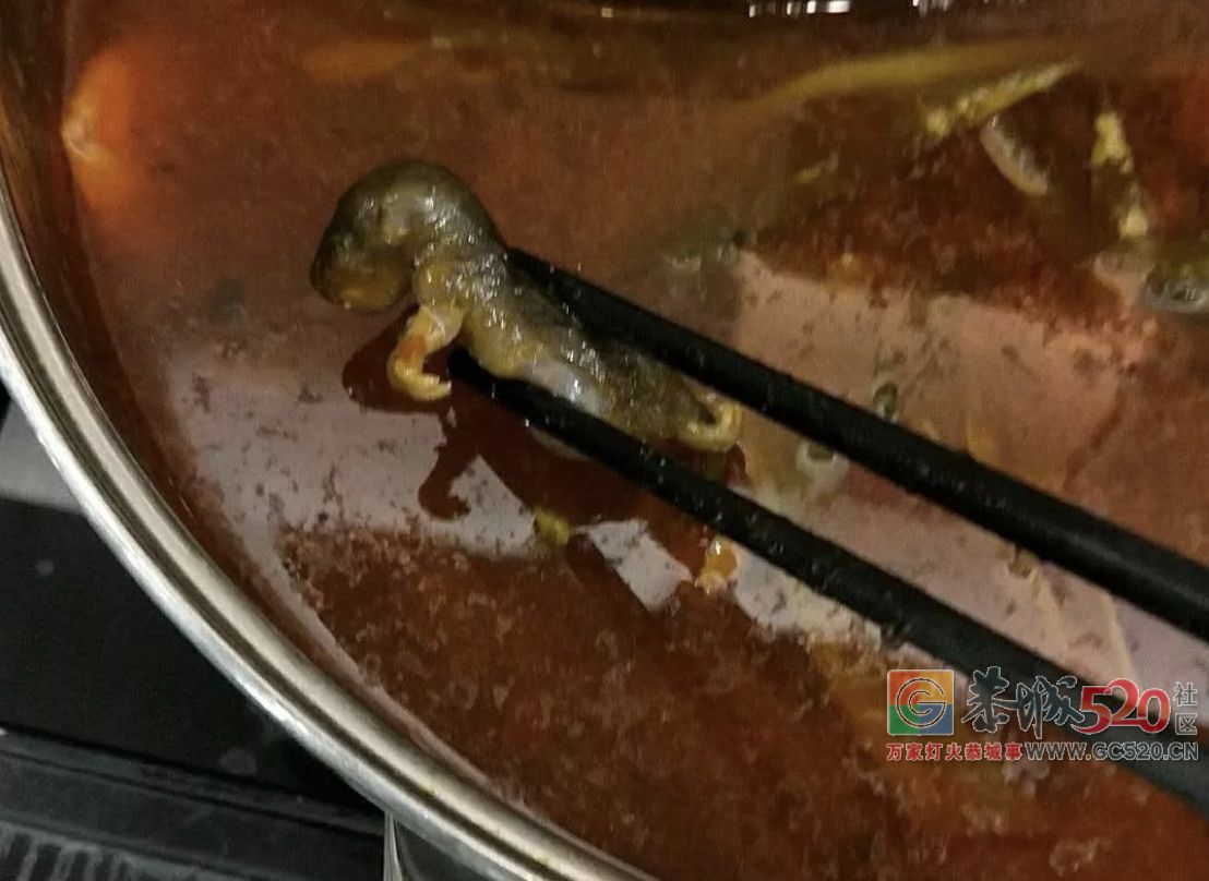 孕妇吃火锅捞出老鼠！店员：担心的话，给你两万把孩子打了…33 / 作者:纯粮正宗土鸡 / 帖子ID:263239