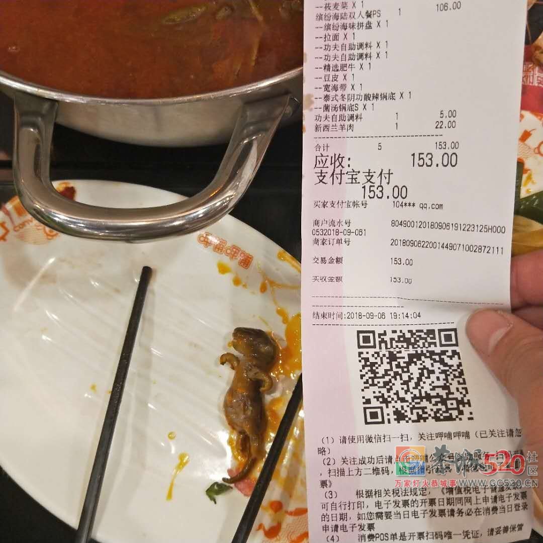 孕妇吃火锅捞出老鼠！店员：担心的话，给你两万把孩子打了…95 / 作者:纯粮正宗土鸡 / 帖子ID:263239