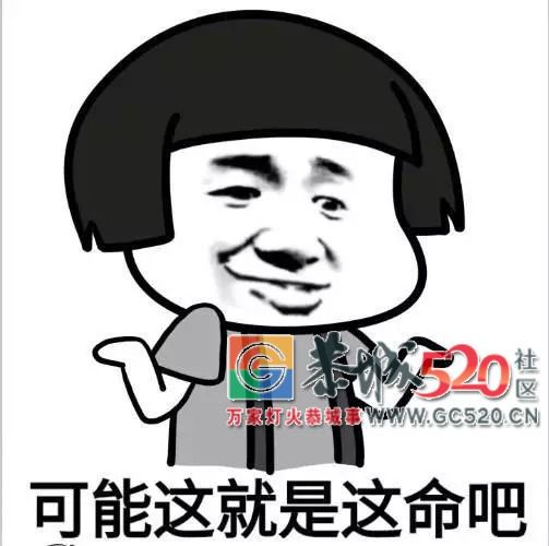 这个老司机有点厉害！违法199条，总计743分，罚款3万多元.....823 / 作者:纯粮正宗土鸡 / 帖子ID:263240
