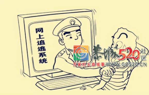 【抓到了，顶级头目！昨晚被警察押回了桂林……】162 / 作者:分叉路口 / 帖子ID:263243