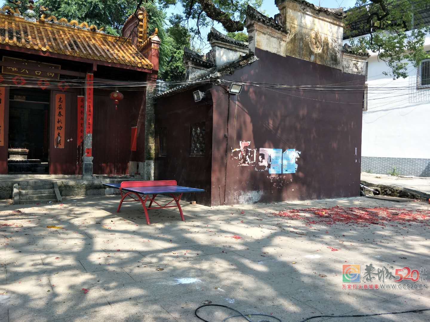 栗木百年古樟树拯救行动正在进行中！424 / 作者:山路十八弯 / 帖子ID:263254