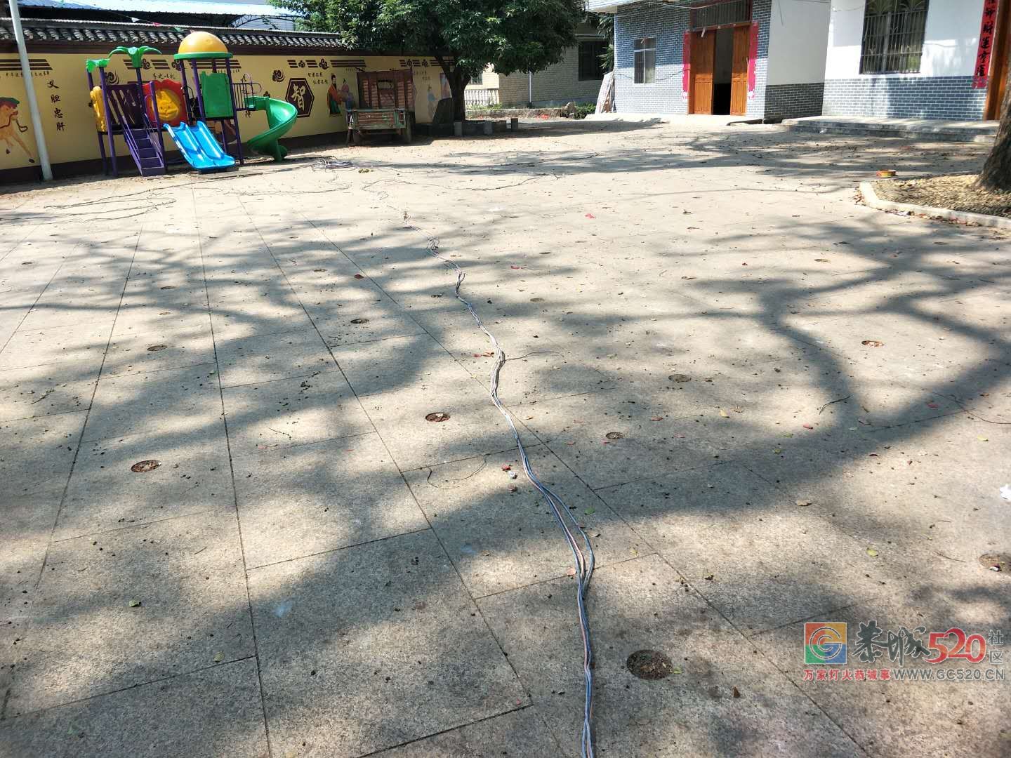 栗木百年古樟树拯救行动正在进行中！944 / 作者:山路十八弯 / 帖子ID:263254
