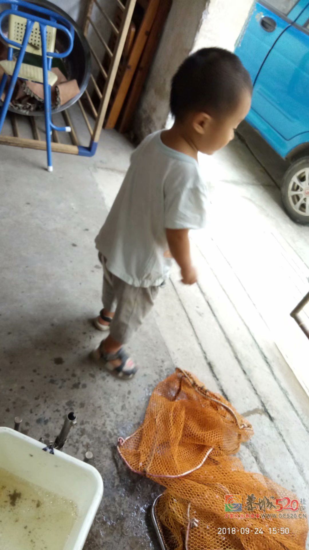 2018中秋节鱼获 MDG507 / 作者:MDG / 帖子ID:266060