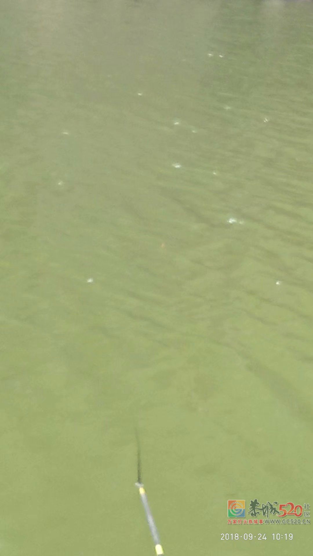 2018中秋节鱼获 MDG696 / 作者:MDG / 帖子ID:266060