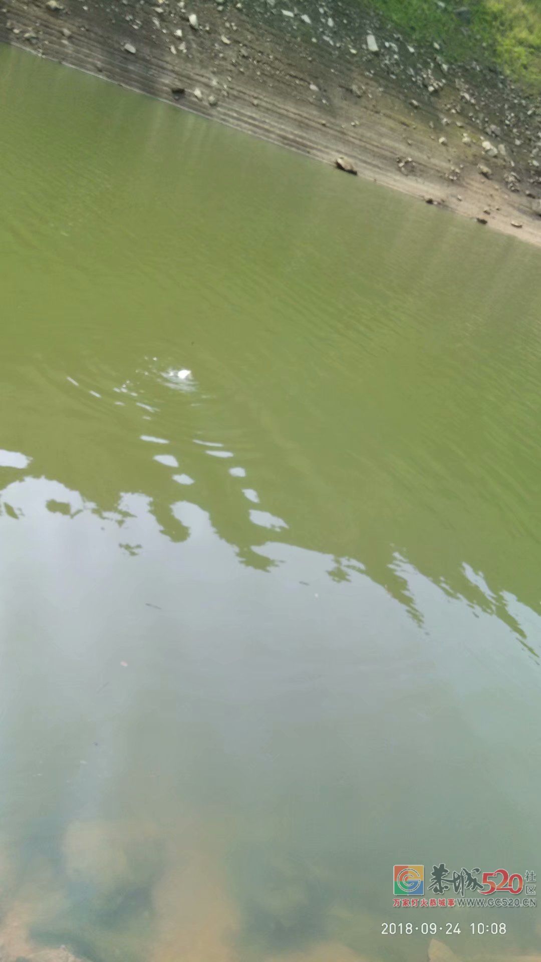 2018中秋节鱼获 MDG775 / 作者:MDG / 帖子ID:266060