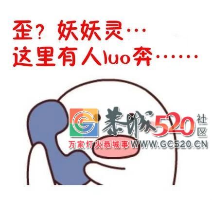 辣眼睛！恭城燕岩大桥上惊现一男子不穿衣裤狂奔进城……430 / 作者:登山涉水 / 帖子ID:266121