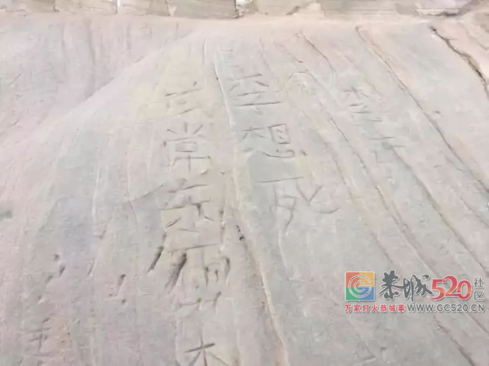为防游客破坏，景区出此下策！网友却吵起来了……617 / 作者:丽丽看花 / 帖子ID:266149