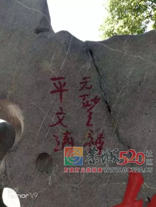 为防游客破坏，景区出此下策！网友却吵起来了……652 / 作者:丽丽看花 / 帖子ID:266149