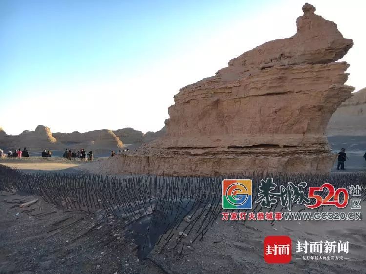 为防游客破坏，景区出此下策！网友却吵起来了……462 / 作者:丽丽看花 / 帖子ID:266149