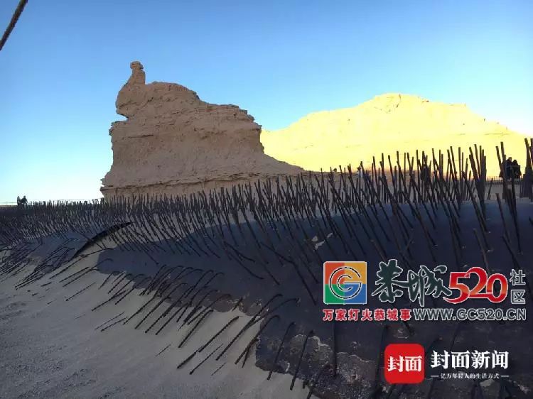 为防游客破坏，景区出此下策！网友却吵起来了……255 / 作者:丽丽看花 / 帖子ID:266149