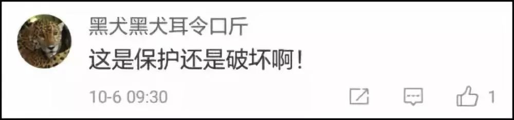 为防游客破坏，景区出此下策！网友却吵起来了……559 / 作者:丽丽看花 / 帖子ID:266149