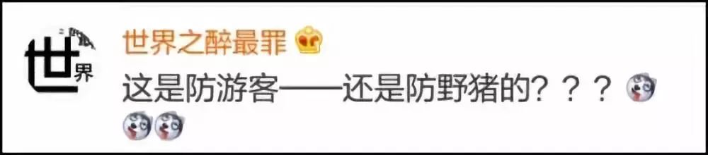 为防游客破坏，景区出此下策！网友却吵起来了……932 / 作者:丽丽看花 / 帖子ID:266149