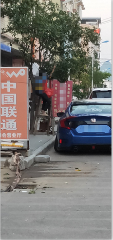 嘉会街有人明目张胆的摘桂花797 / 作者:狗婆蛇 / 帖子ID:266155