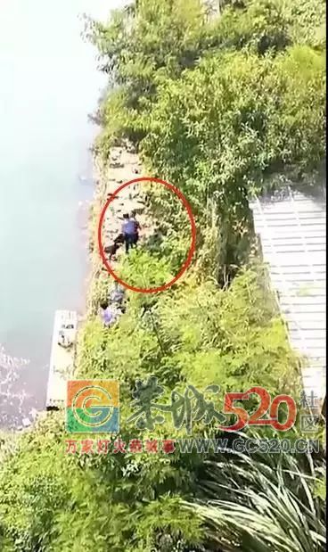 【后续】10月8日恭城茶江桥下这个引数百民众围观的男子，经查，疑似精神病人805 / 作者:花开似花落、 / 帖子ID:266171