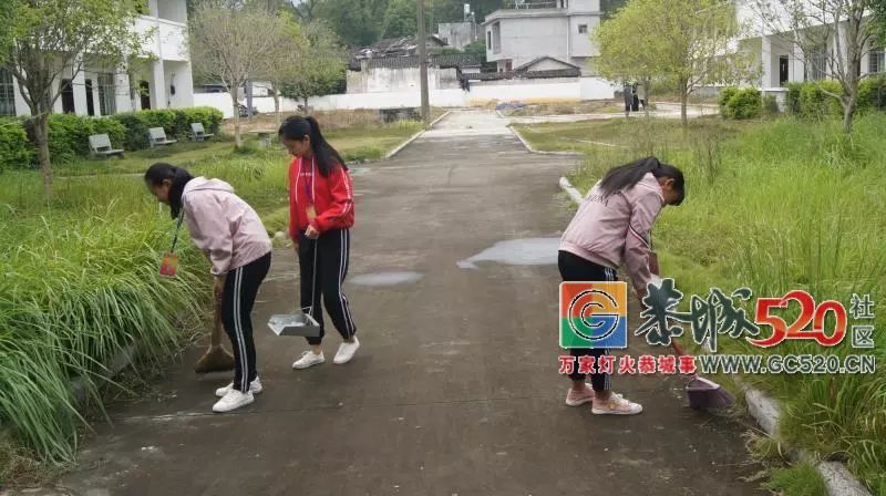 【敬老爱老】栗木镇初级中学重阳节慰问活动556 / 作者:儿时的回忆 / 帖子ID:266227