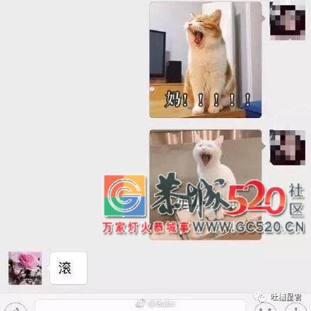 你已被爸妈移出了群聊！网友晒出微信截屏，哈哈哈哈752 / 作者:红花绿叶 / 帖子ID:266239