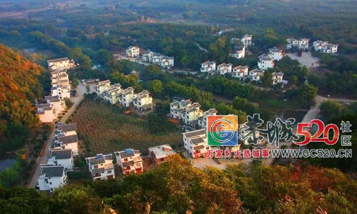 全国首个获此美誉！恭城牛得很有底气！445 / 作者:九命猫 / 帖子ID:266343