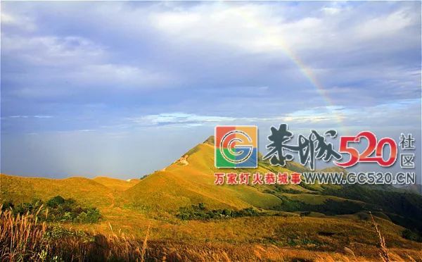 全国首个获此美誉！恭城牛得很有底气！338 / 作者:九命猫 / 帖子ID:266343
