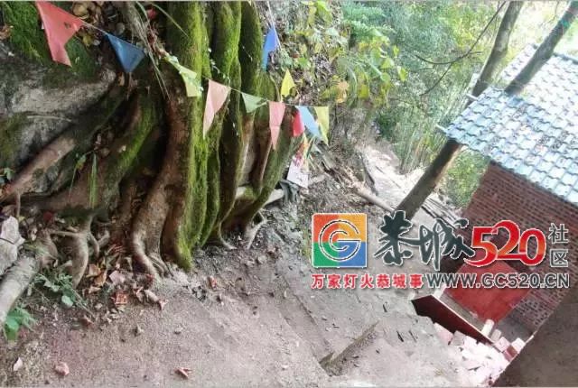 平安心田村一年一度的九龙公庙会就要到了，游岩洞逛庙会，恭城人约不约？454 / 作者:baby甜心 / 帖子ID:266344