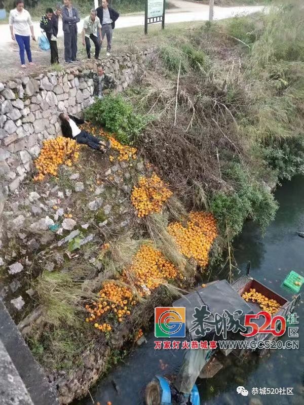 惊险！一拉满柿子的拖拉机在恭城桐竹桥头过桥时翻下河里，司机抓住树蔸求救515 / 作者:儿时的回忆 / 帖子ID:266428