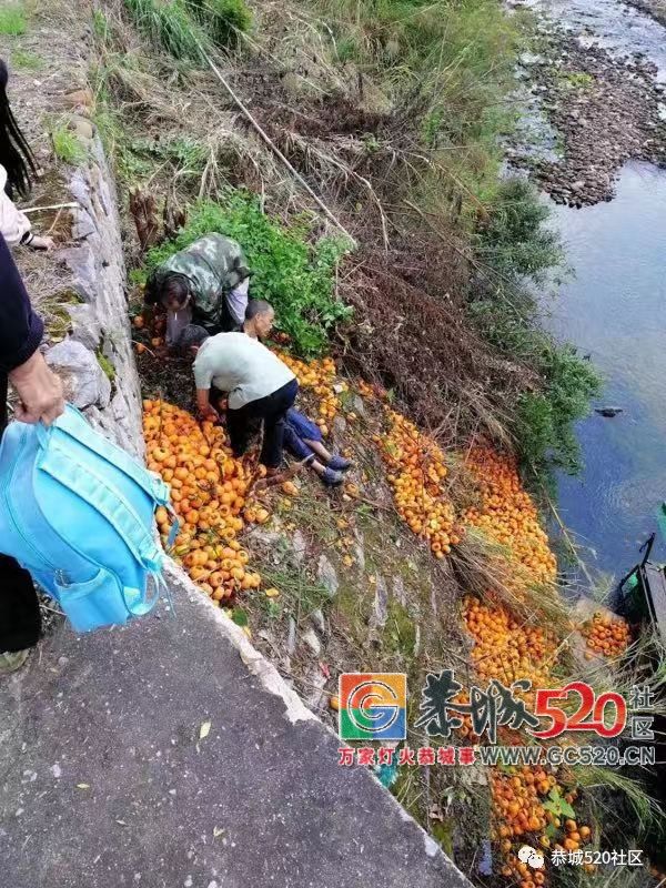 惊险！一拉满柿子的拖拉机在恭城桐竹桥头过桥时翻下河里，司机抓住树蔸求救335 / 作者:儿时的回忆 / 帖子ID:266428