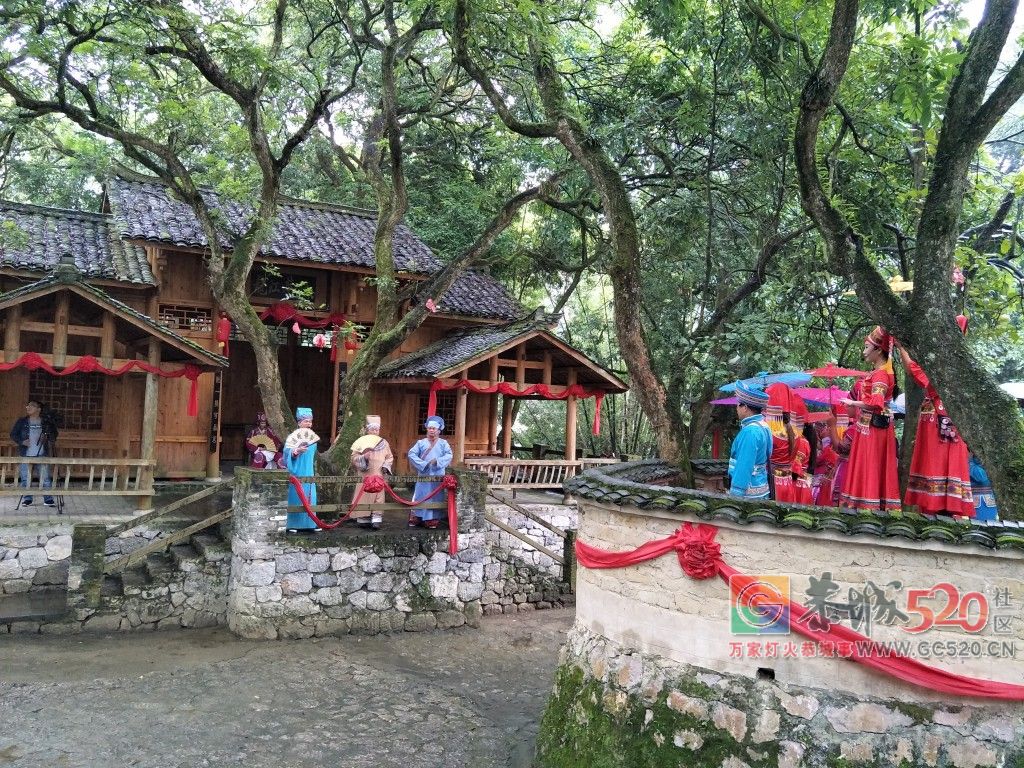 恭城人，你知道宜州——这座会唱歌的城市吗？335 / 作者:分类小编 / 帖子ID:266484