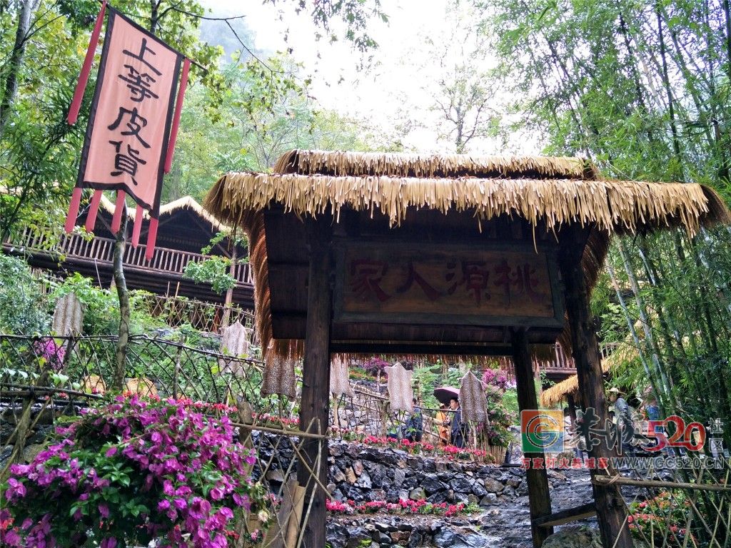 恭城人，你知道宜州——这座会唱歌的城市吗？183 / 作者:分类小编 / 帖子ID:266484