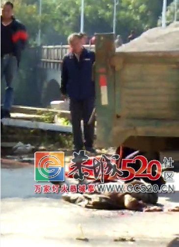 突发！拖拉机与拉沙货车在莲花蛟津塘相撞，致一死一伤！203 / 作者:单身狗的生活 / 帖子ID:266512