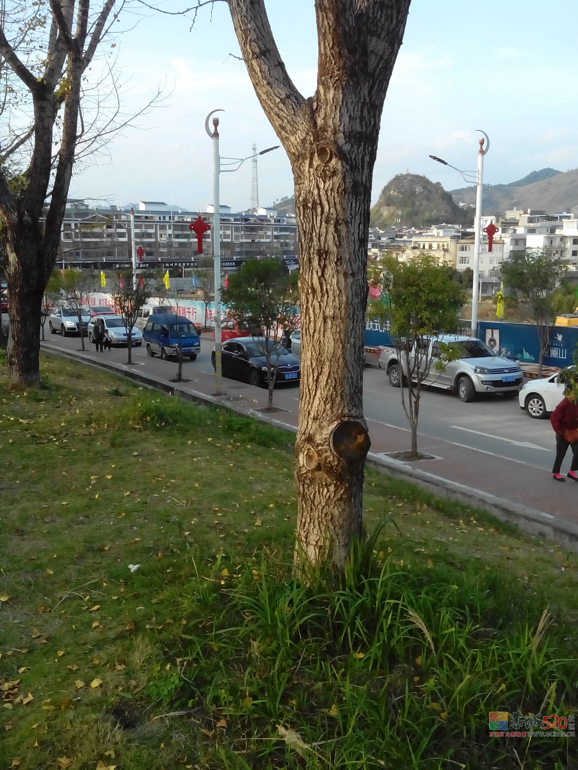 爱堵不堵。。。。。211 / 作者:罗少爷 / 帖子ID:266556