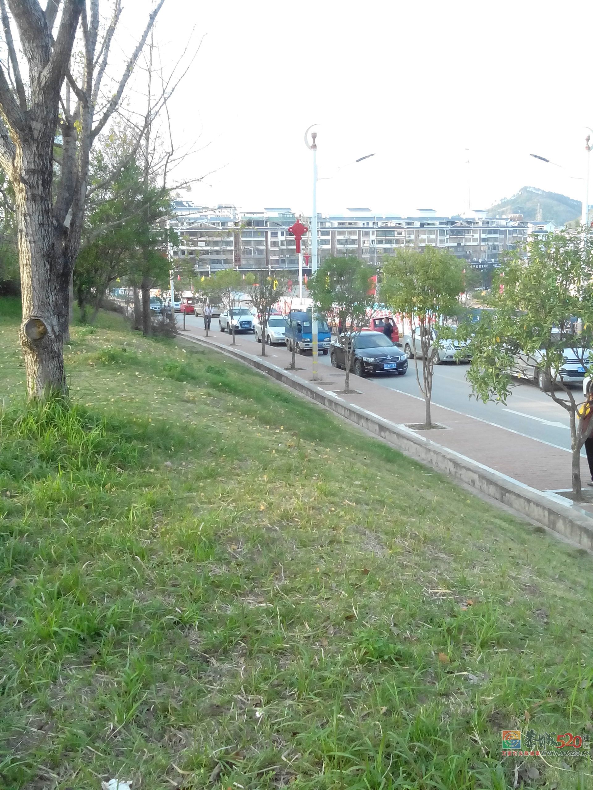 爱堵不堵。。。。。949 / 作者:罗少爷 / 帖子ID:266556
