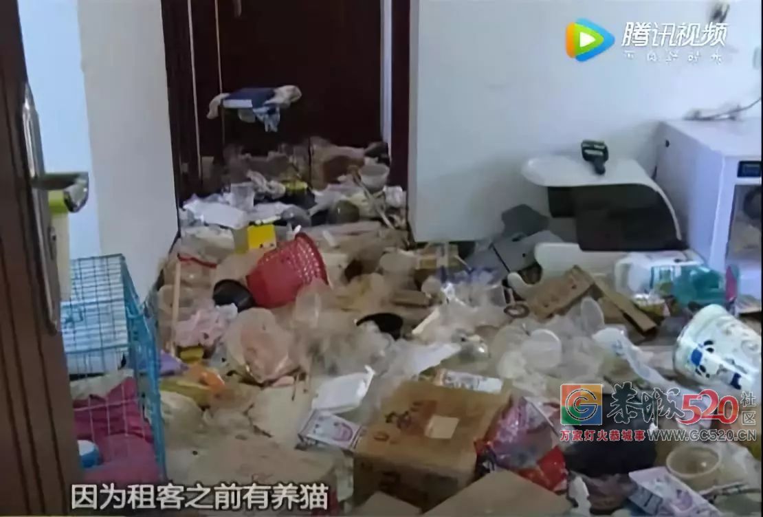 高档小区租给女学生，房东一开门崩溃：垃圾场都比我家好355 / 作者:龙虎街娃崽 / 帖子ID:266564