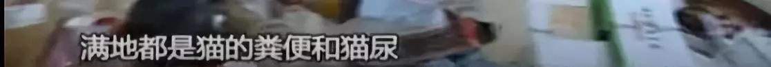 高档小区租给女学生，房东一开门崩溃：垃圾场都比我家好546 / 作者:龙虎街娃崽 / 帖子ID:266564