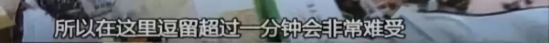 高档小区租给女学生，房东一开门崩溃：垃圾场都比我家好145 / 作者:龙虎街娃崽 / 帖子ID:266564