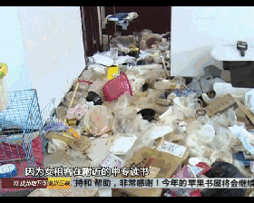 高档小区租给女学生，房东一开门崩溃：垃圾场都比我家好89 / 作者:龙虎街娃崽 / 帖子ID:266564