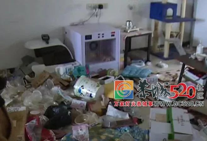 高档小区租给女学生，房东一开门崩溃：垃圾场都比我家好512 / 作者:龙虎街娃崽 / 帖子ID:266564