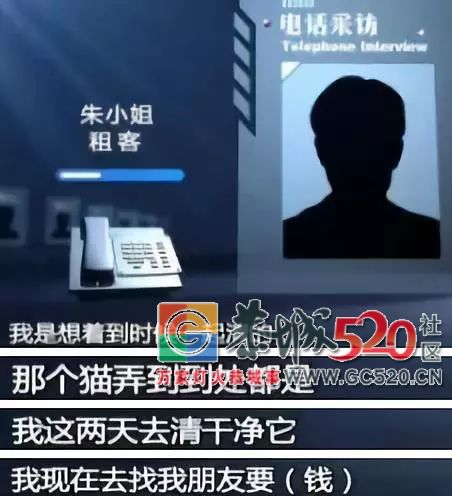 高档小区租给女学生，房东一开门崩溃：垃圾场都比我家好85 / 作者:龙虎街娃崽 / 帖子ID:266564