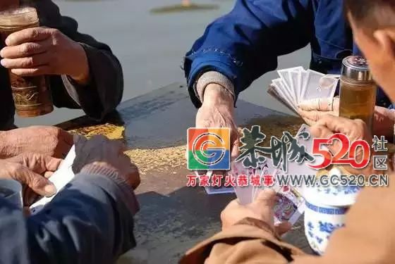 【倡议】别让赌博成为每年恭城农村春节不能承受之重....589 / 作者:承接水电安装 / 帖子ID:266653