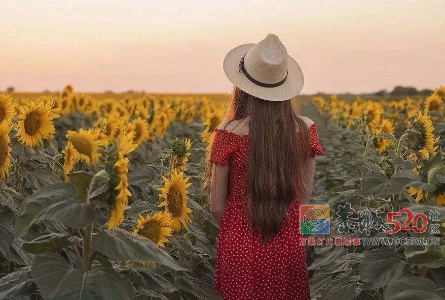 成年人的爱情：转账和娶你532 / 作者:碧澄匀 / 帖子ID:266687