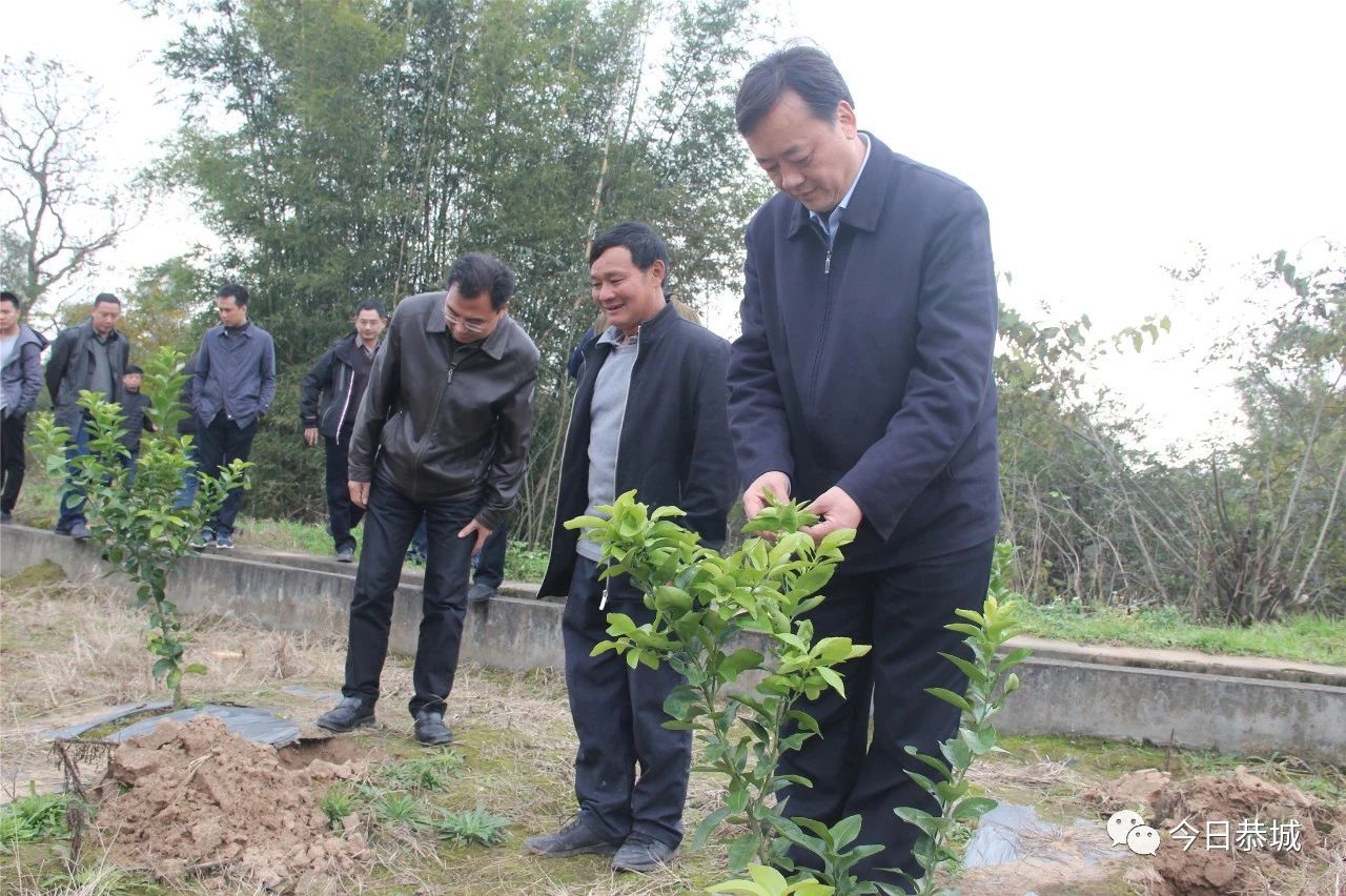 我县组织召开全县柑桔种植暨2019年产业扶贫工作会635 / 作者:登山涉水 / 帖子ID:266783