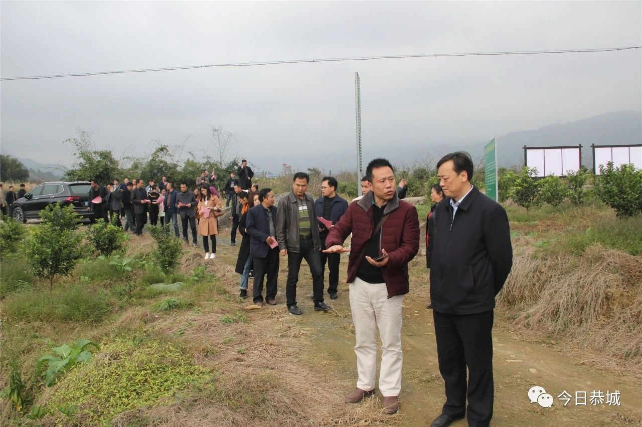 我县组织召开全县柑桔种植暨2019年产业扶贫工作会578 / 作者:登山涉水 / 帖子ID:266783