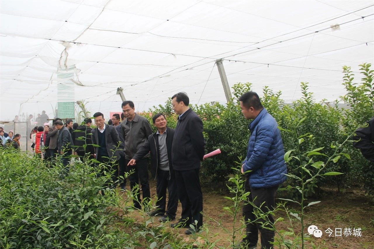 我县组织召开全县柑桔种植暨2019年产业扶贫工作会47 / 作者:登山涉水 / 帖子ID:266783