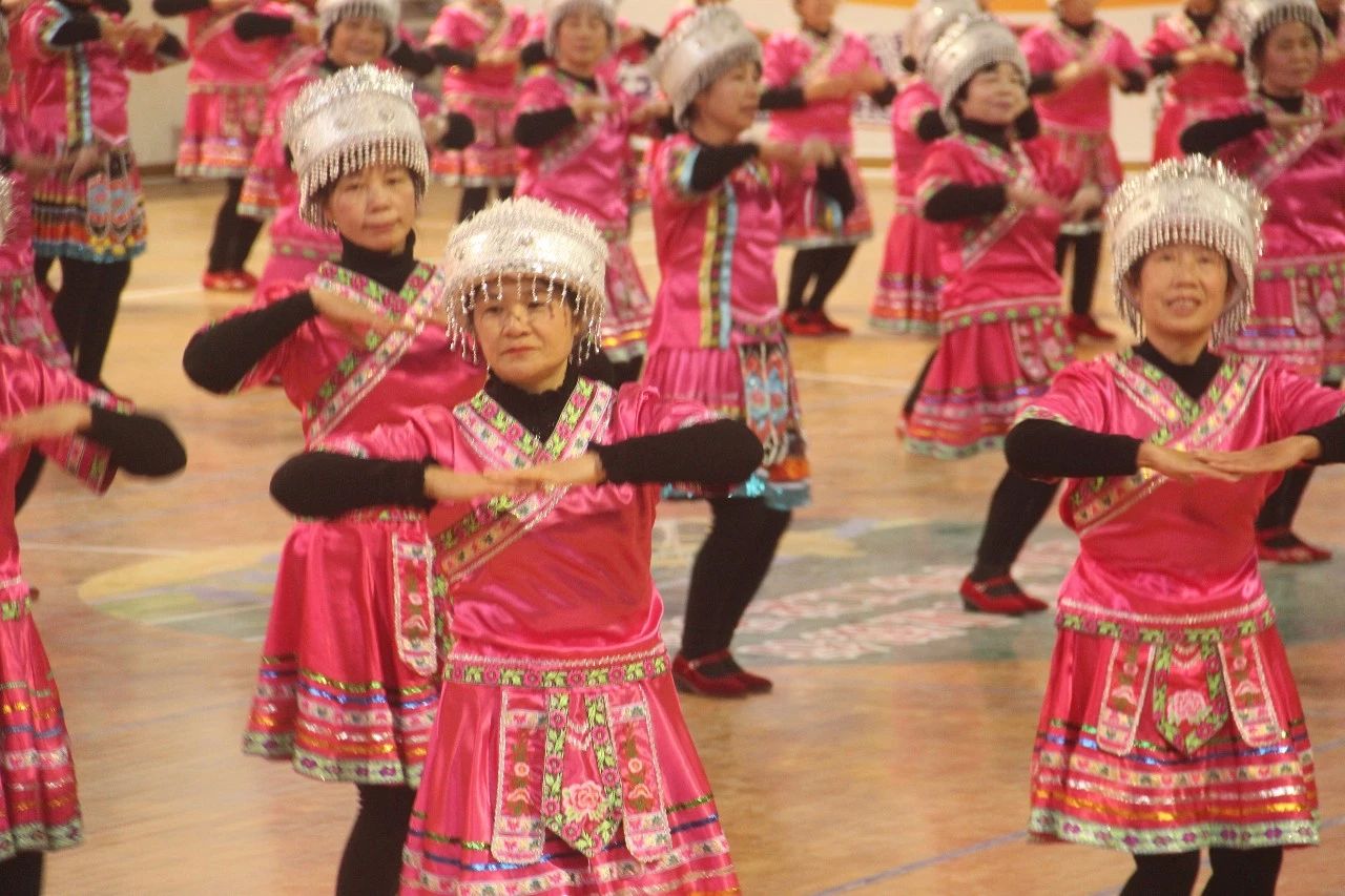 县老年大学在体育馆举行2018年辞旧迎新文艺汇演活动400 / 作者:高负帅 / 帖子ID:266844