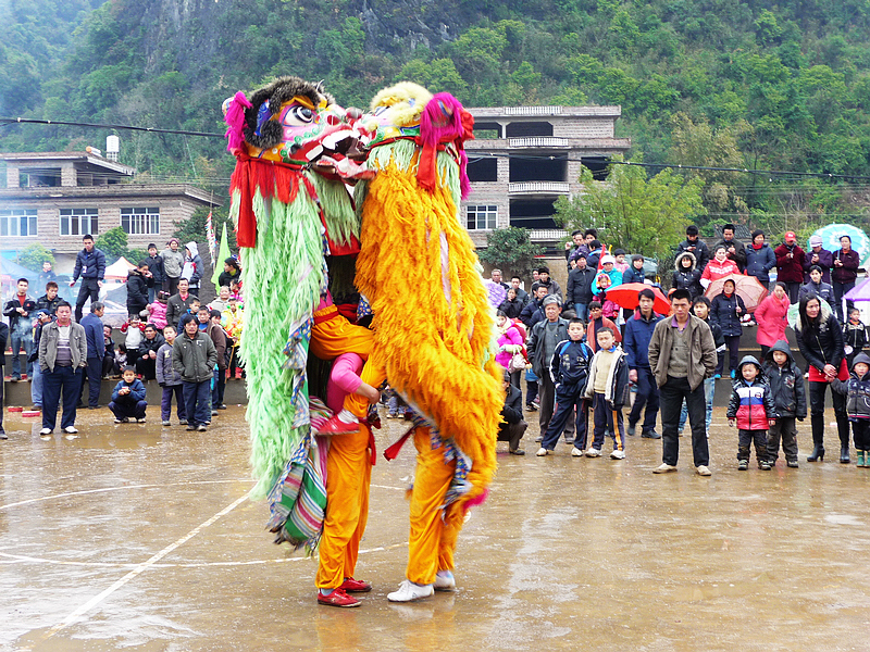 巾帼不让须眉 恭城龙田村活跃着一支女子舞狮队110 / 作者:平安大叔 / 帖子ID:266860