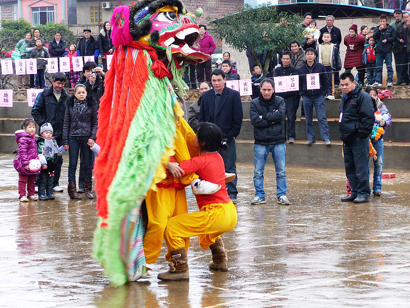 巾帼不让须眉 恭城龙田村活跃着一支女子舞狮队426 / 作者:平安大叔 / 帖子ID:266860