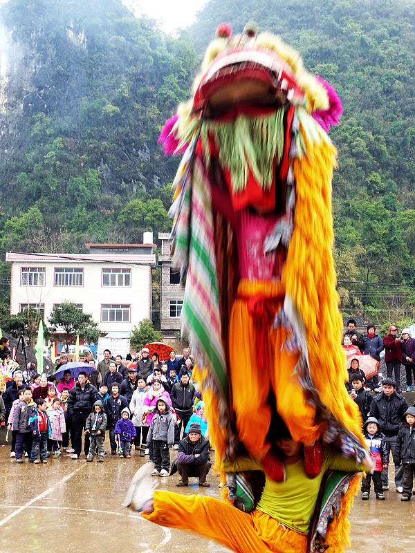 巾帼不让须眉 恭城龙田村活跃着一支女子舞狮队828 / 作者:平安大叔 / 帖子ID:266860