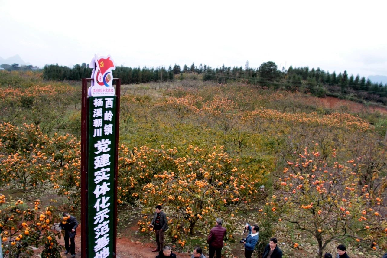 我县开展“美丽瑶乡党旗红”党建品牌亮点示范工程大考核195 / 作者:糕富帅 / 帖子ID:266949